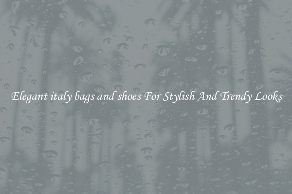Elegant italy bags and shoes For Stylish And Trendy Looks