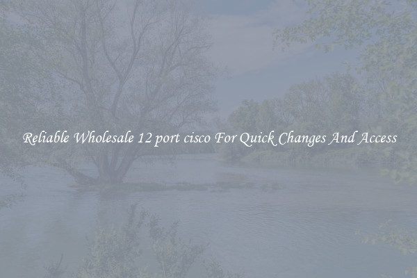 Reliable Wholesale 12 port cisco For Quick Changes And Access