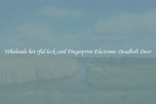 Wholesale hot rfid lock card Fingerprint Electronic Deadbolt Door 