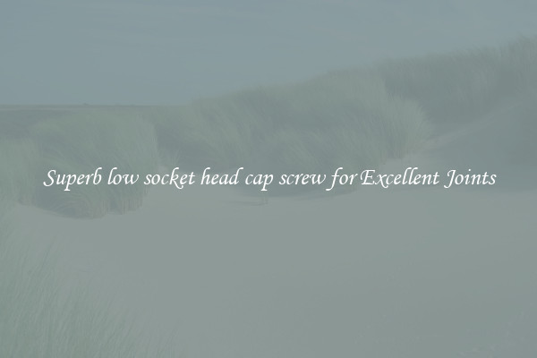 Superb low socket head cap screw for Excellent Joints