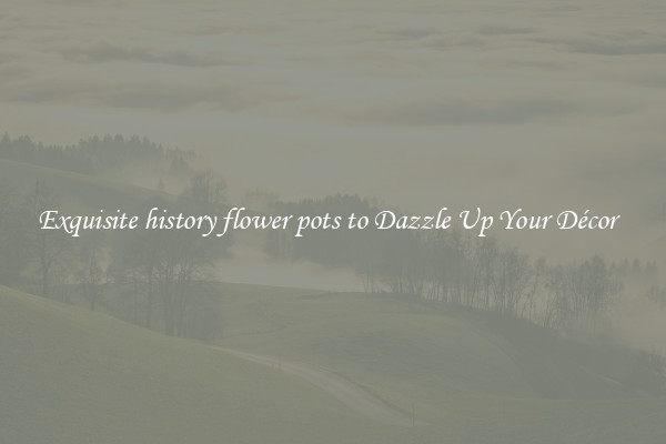 Exquisite history flower pots to Dazzle Up Your Décor  