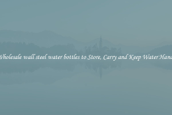 Wholesale wall steel water bottles to Store, Carry and Keep Water Handy