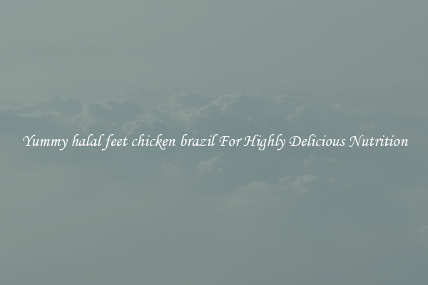 Yummy halal feet chicken brazil For Highly Delicious Nutrition