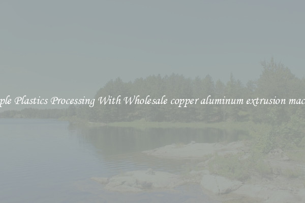 Simple Plastics Processing With Wholesale copper aluminum extrusion machine