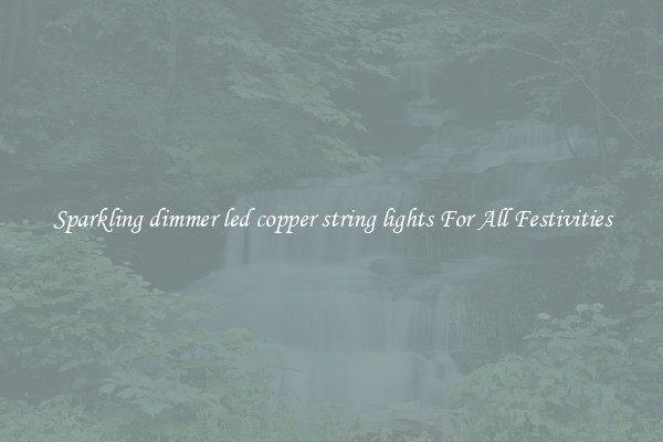 Sparkling dimmer led copper string lights For All Festivities