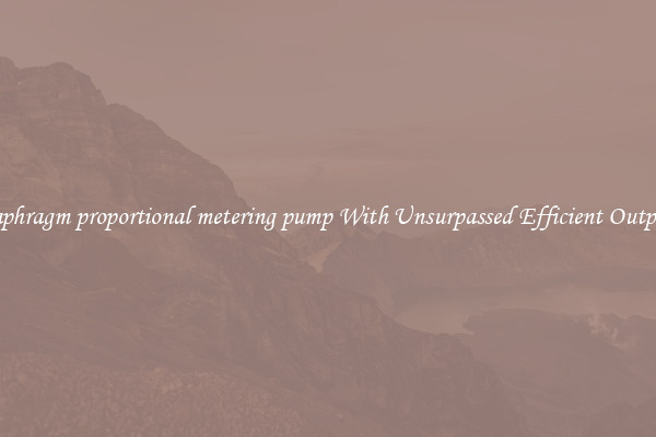 diaphragm proportional metering pump With Unsurpassed Efficient Outputs