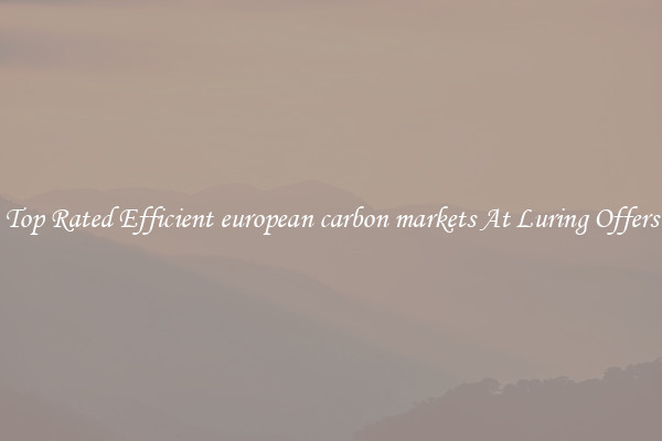 Top Rated Efficient european carbon markets At Luring Offers