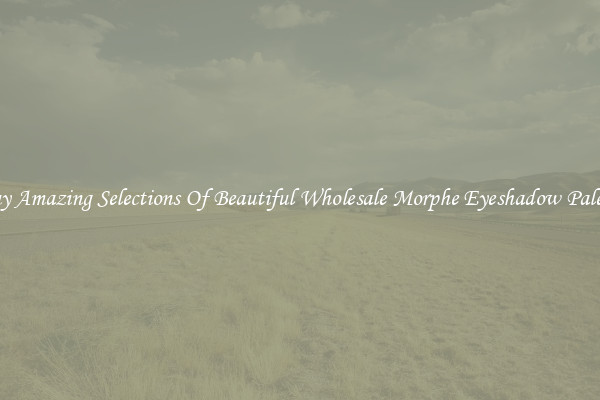 Buy Amazing Selections Of Beautiful Wholesale Morphe Eyeshadow Palette