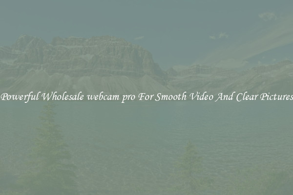 Powerful Wholesale webcam pro For Smooth Video And Clear Pictures