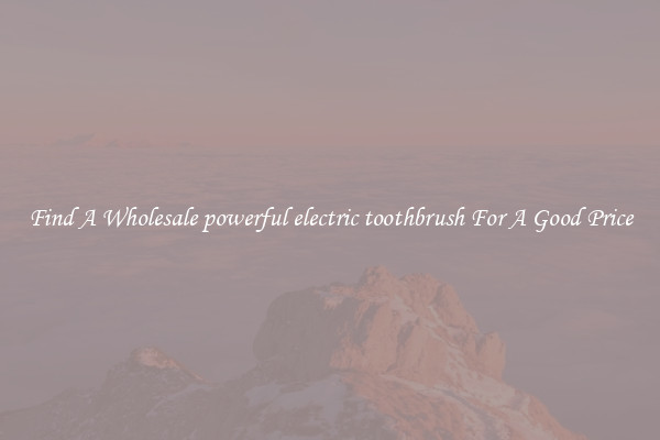 Find A Wholesale powerful electric toothbrush For A Good Price