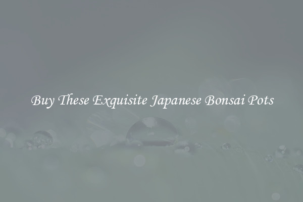 Buy These Exquisite Japanese Bonsai Pots