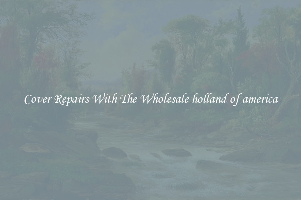  Cover Repairs With The Wholesale holland of america 