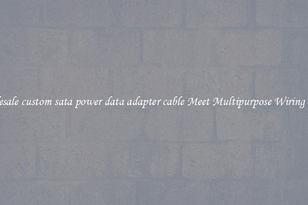 Wholesale custom sata power data adapter cable Meet Multipurpose Wiring Needs