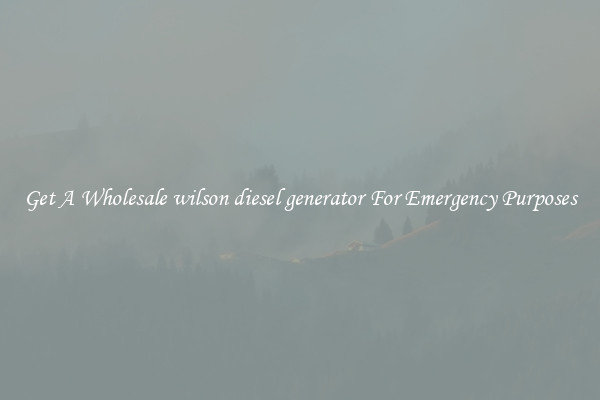 Get A Wholesale wilson diesel generator For Emergency Purposes