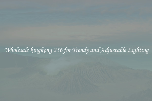 Wholesale kingkong 256 for Trendy and Adjustable Lighting