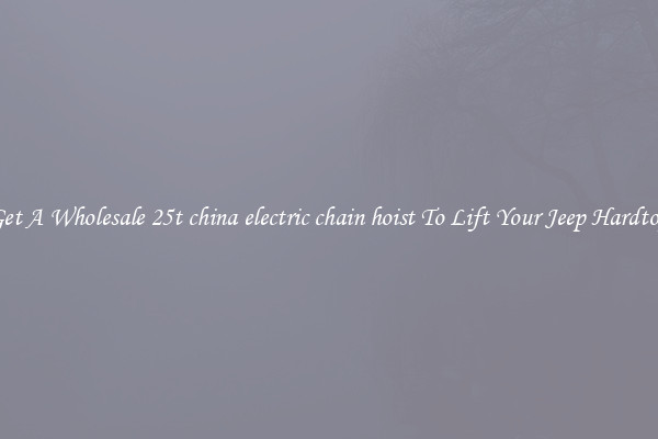 Get A Wholesale 25t china electric chain hoist To Lift Your Jeep Hardtop