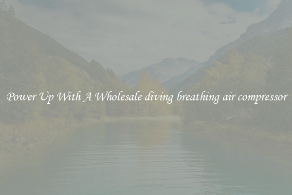 Power Up With A Wholesale diving breathing air compressor