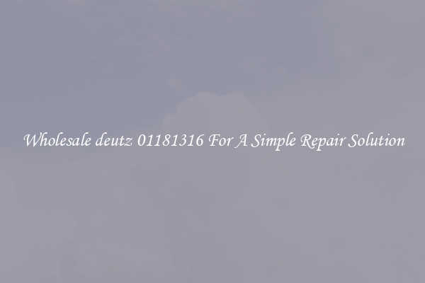Wholesale deutz 01181316 For A Simple Repair Solution